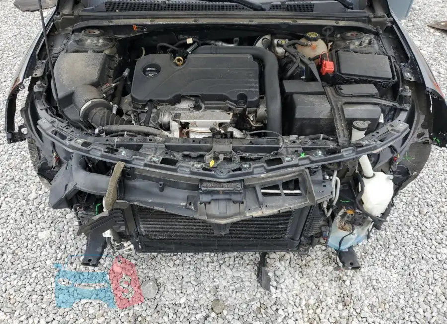 1G1ZD5ST1KF144147 Photo# 11