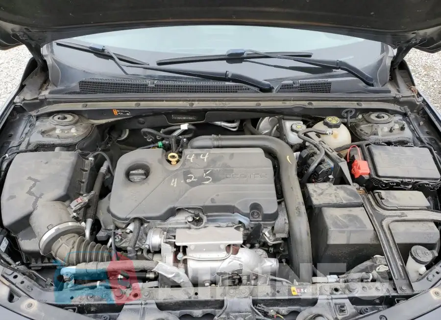 1G1ZD5ST3MF018567 Photo# 11