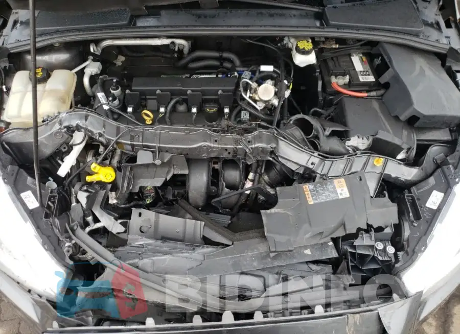 1FADP3E25JL245231 Photo# 11
