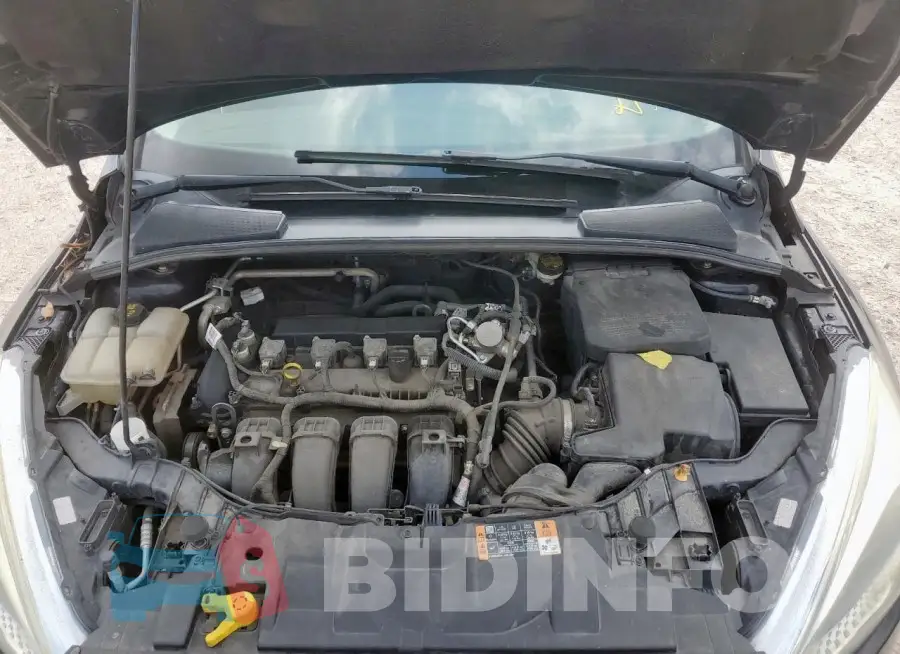 1FADP3K20GL360946 Photo# 11