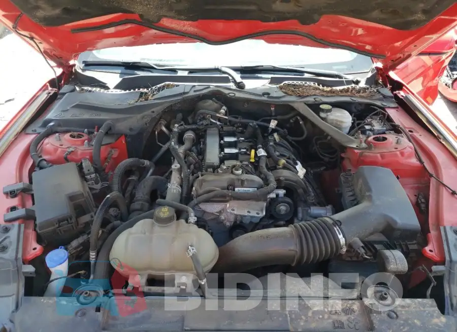 1FATP8UHXM5122239 Photo# 11