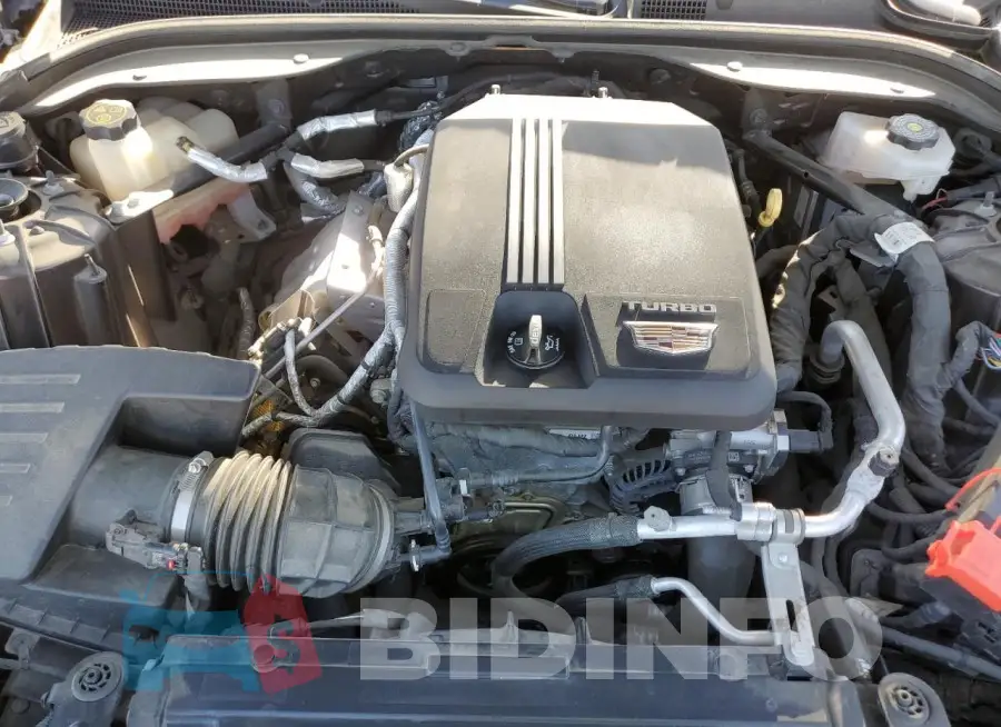 1G6DN5RK6L0151968 Photo# 11