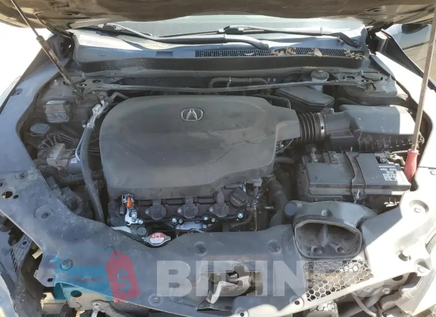 19UUB2F54GA004049 Photo# 11