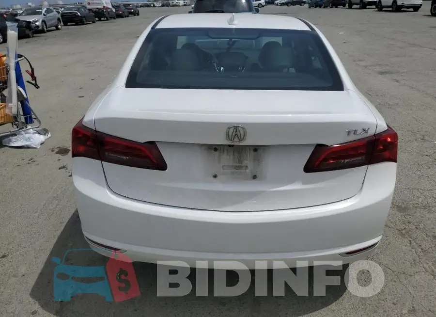 19UUB2F57GA003008 Photo# 6