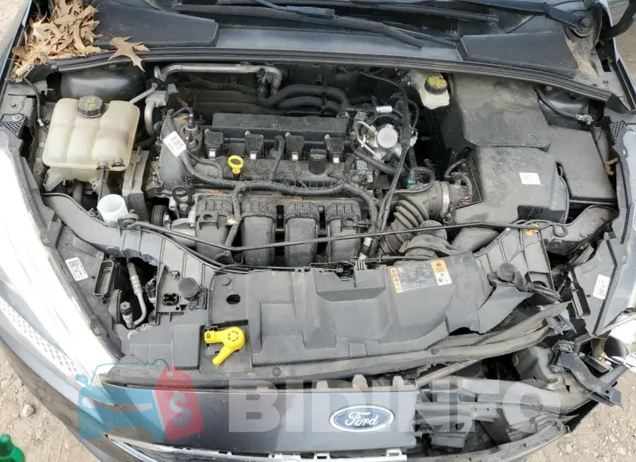 1FADP3E23HL312127 Photo# 11