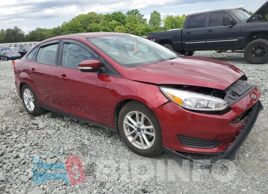 1FADP3F24GL248533 Photo# 4