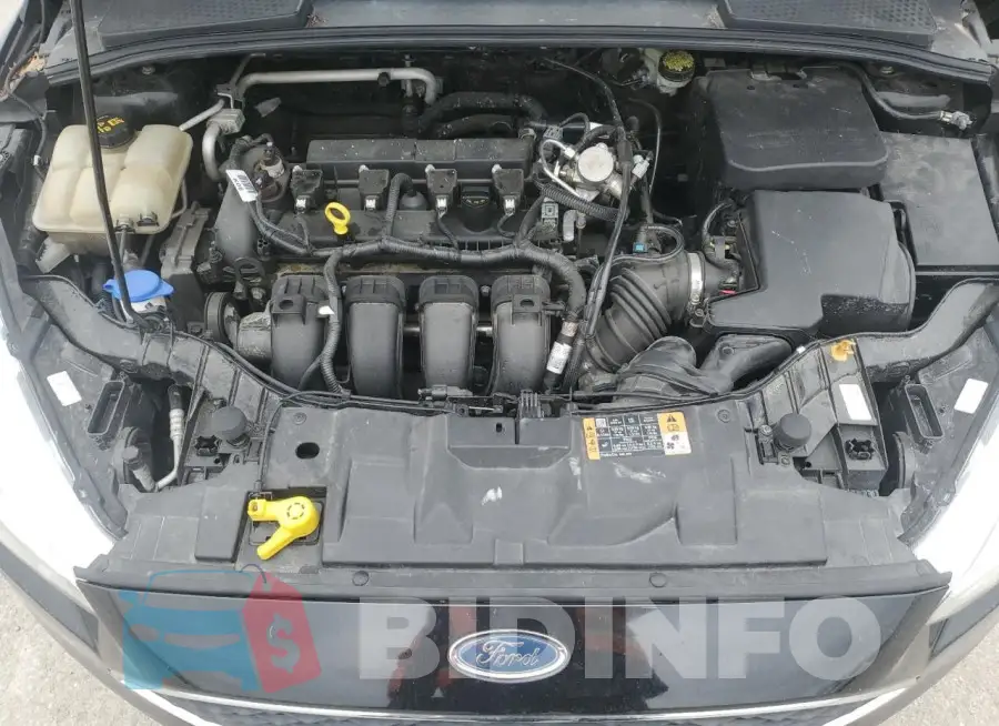1FADP3F24GL362693 Photo# 11