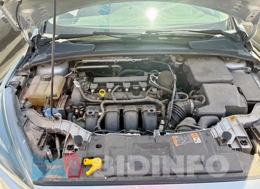 1FADP3F29GL314719 Photo# 7