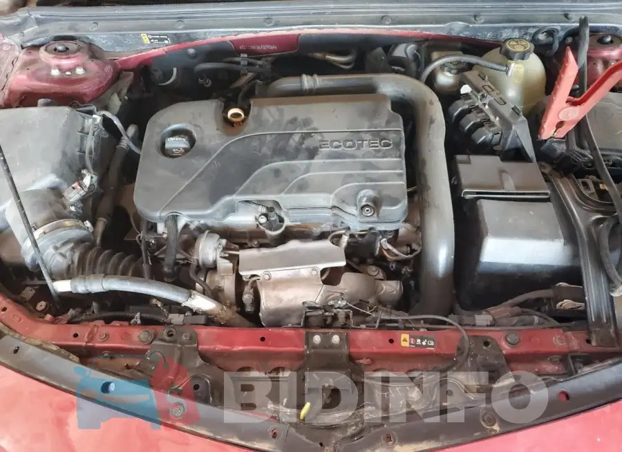 1G1ZD5ST5LF079384 Photo# 11