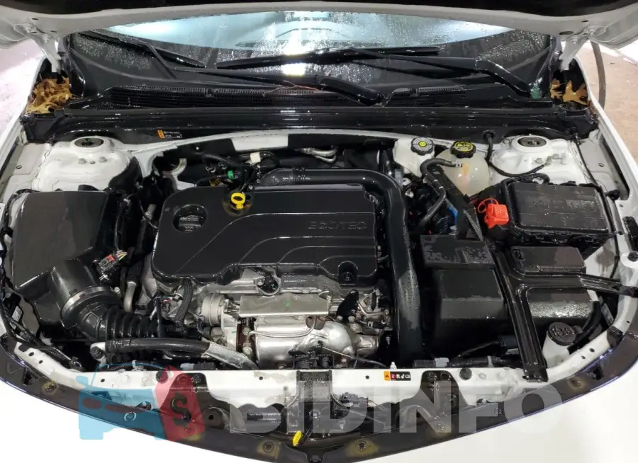 1G1ZD5ST5RF159521 Photo# 11