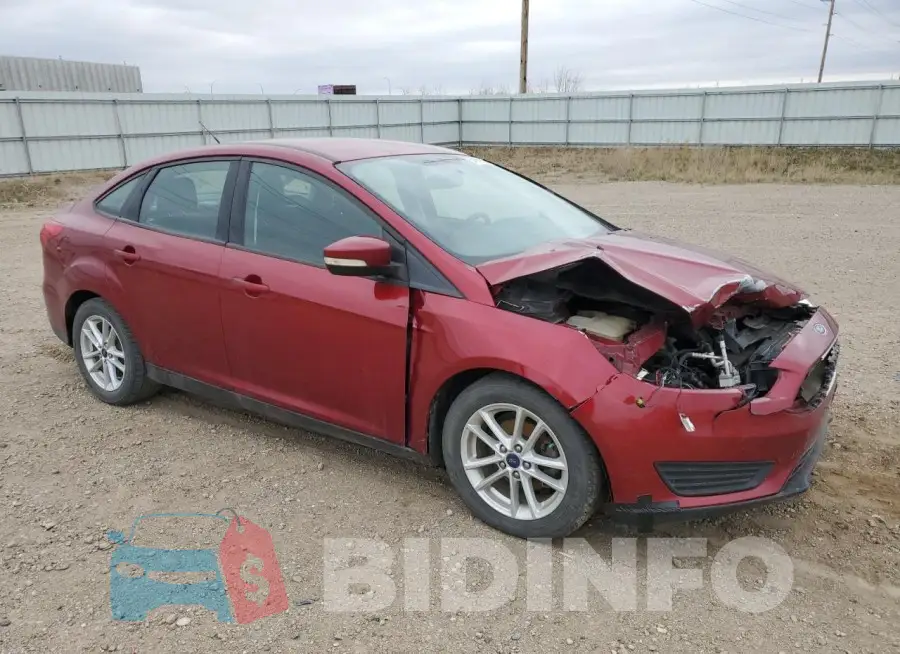1FADP3F20HL254766 Photo# 4