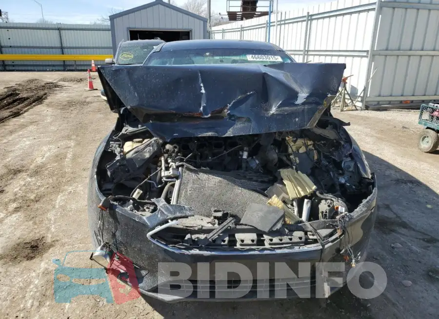 1FADP3F25GL377896 Photo# 5