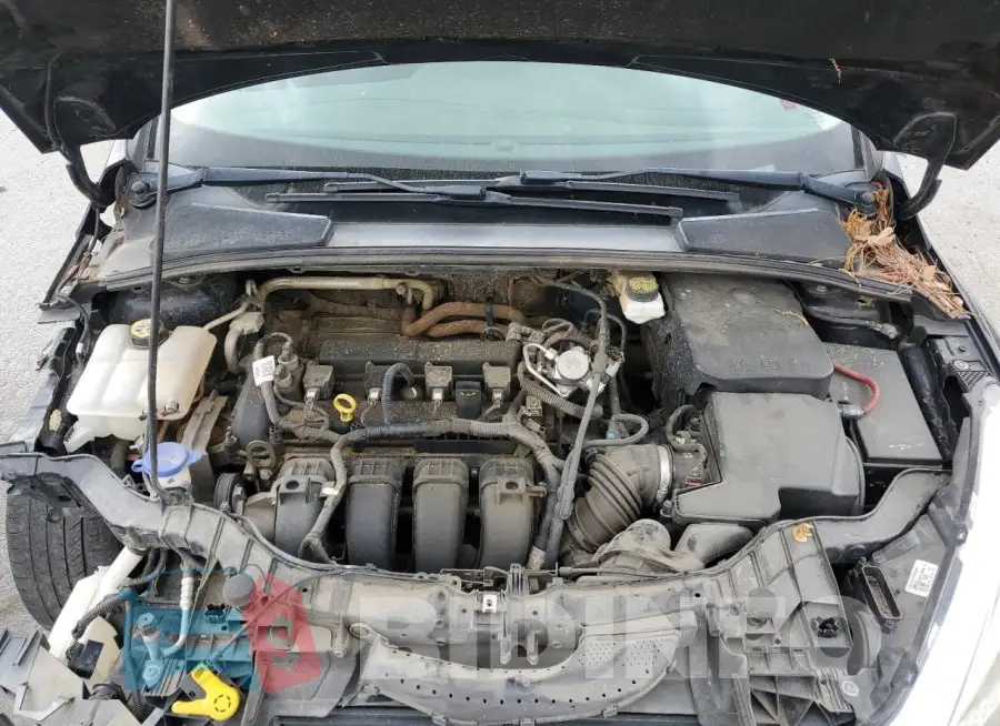 1FADP3F29JL299968 Photo# 11