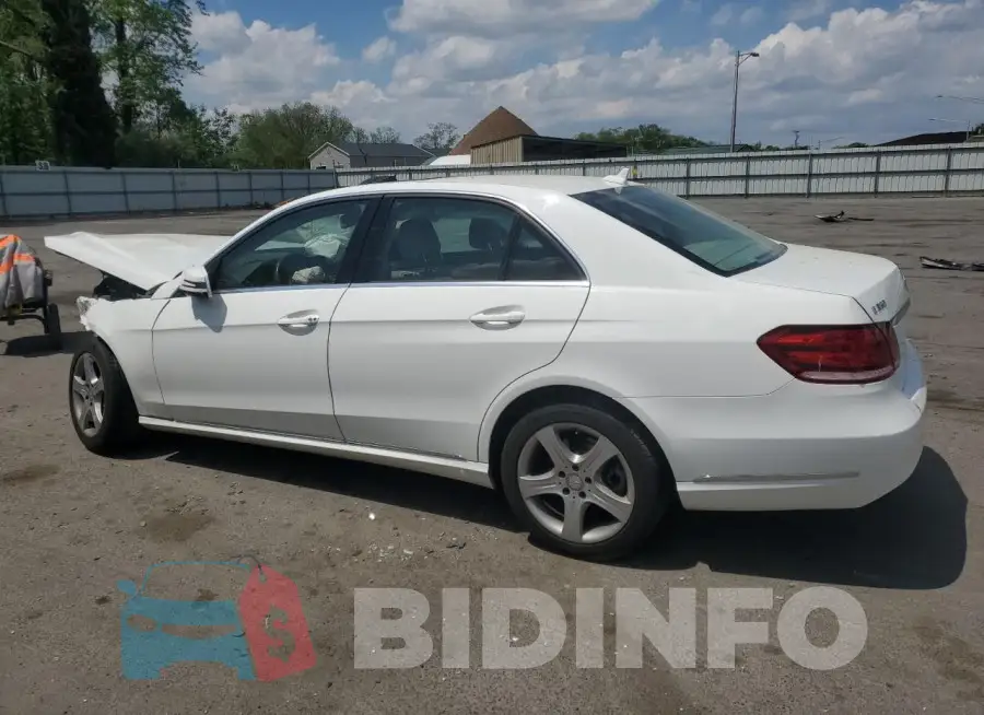 WDDHF8JBXGB197358 Photo# 2