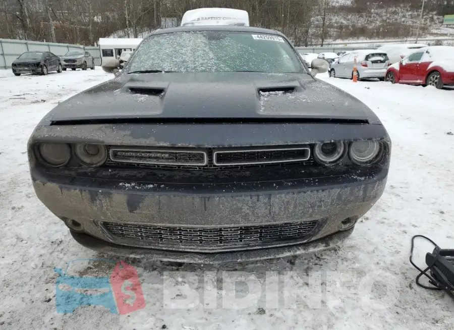 2C3CDZGG3KH702504 Photo# 5