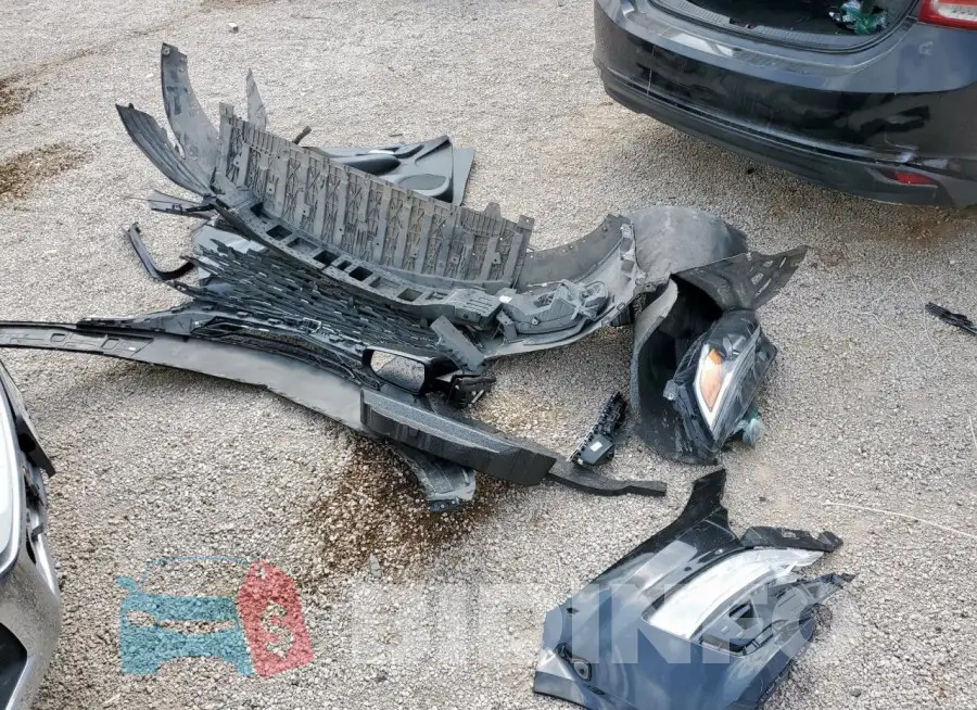 1G1ZD5ST5KF166359 Photo# 12