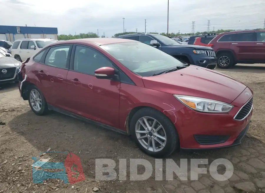 1FADP3F21GL203131 Photo# 4