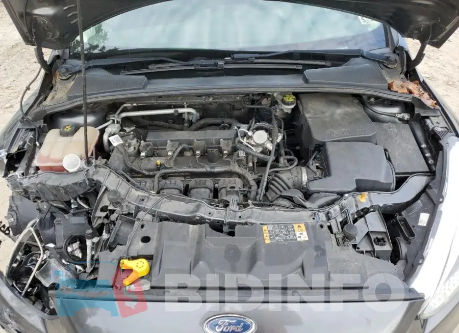 1FADP3F22GL384885 Photo# 11
