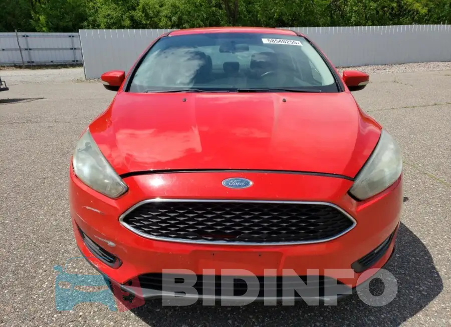 1FADP3F24GL290703 Photo# 5