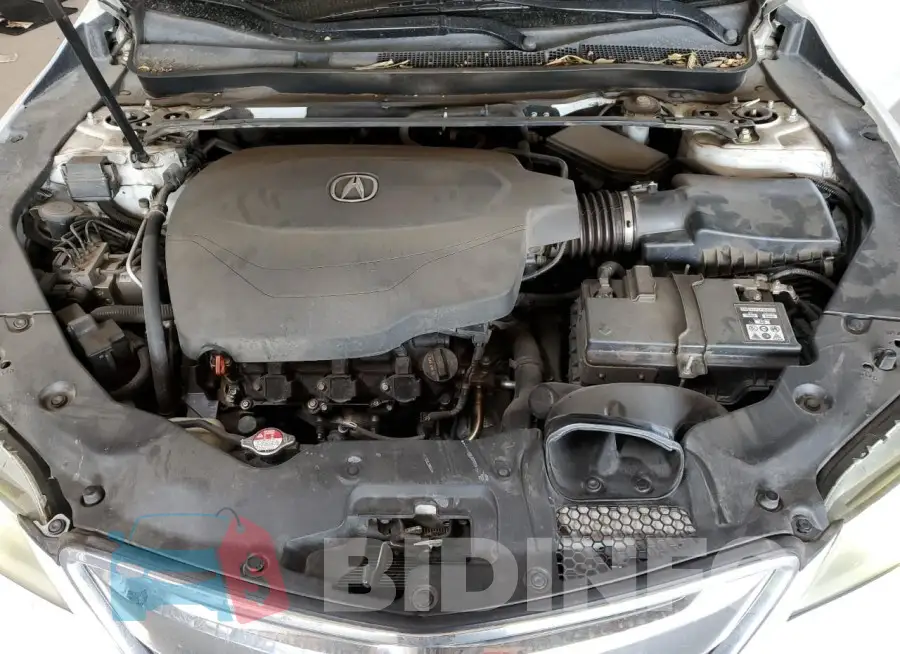 19UUB2F52GA009069 Photo# 11