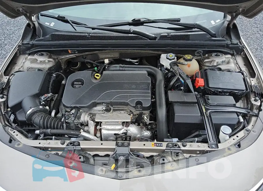 1G1ZD5ST5PF163114 Photo# 11