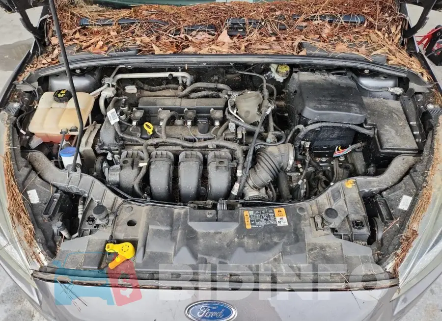1FADP3F25GL249187 Photo# 11