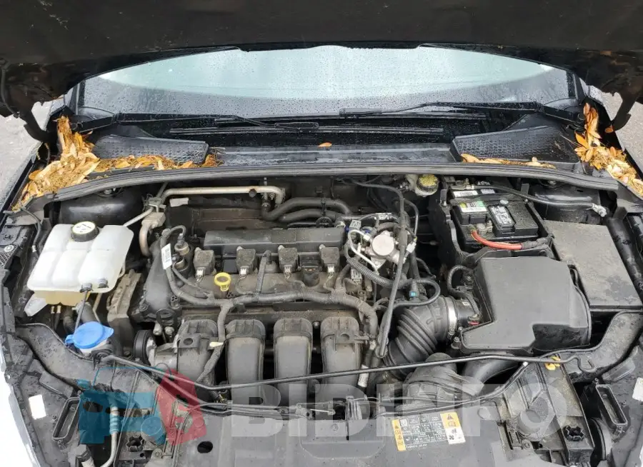 1FADP3K21GL350071 Photo# 11