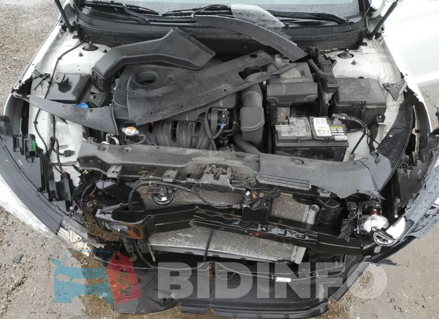 5NPE34AF5KH748417 Photo# 11