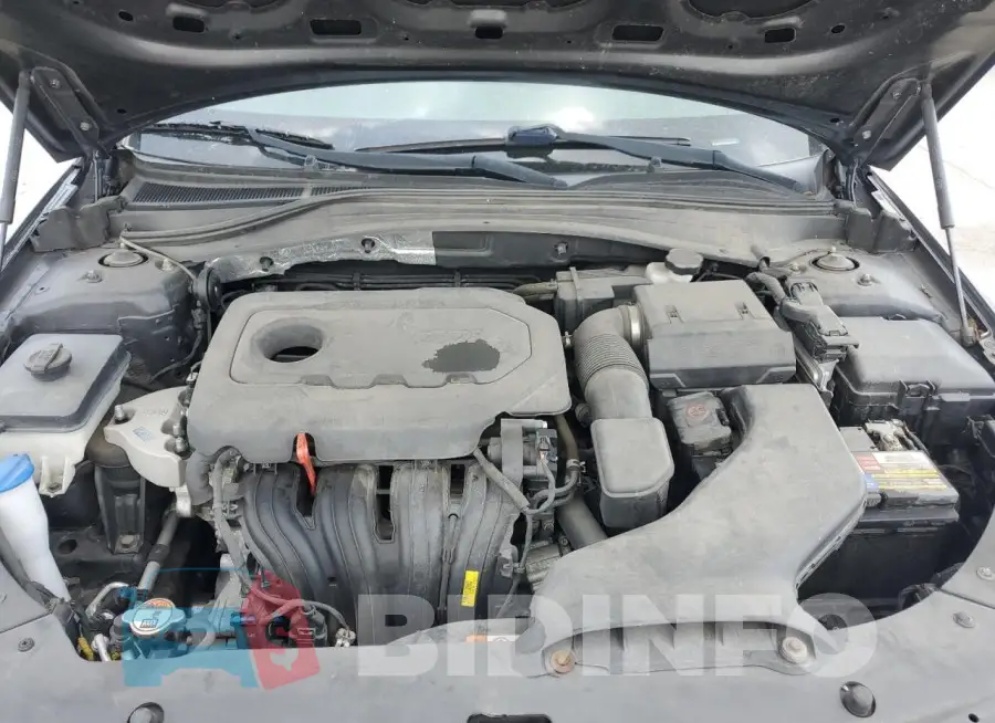 5XXGT4L33JG241229 Photo# 11