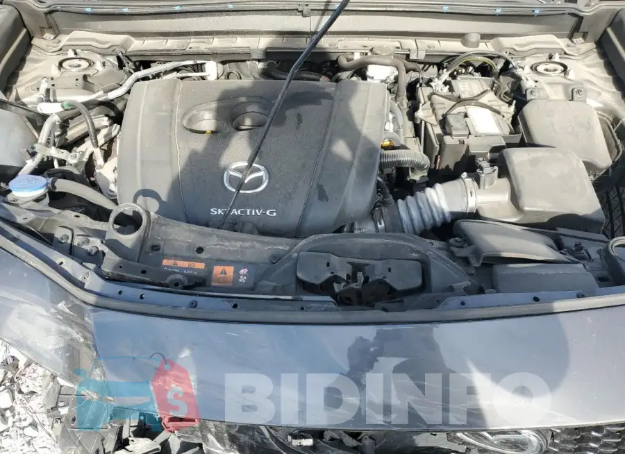 3MVDMBDL2MM315521 Photo# 12
