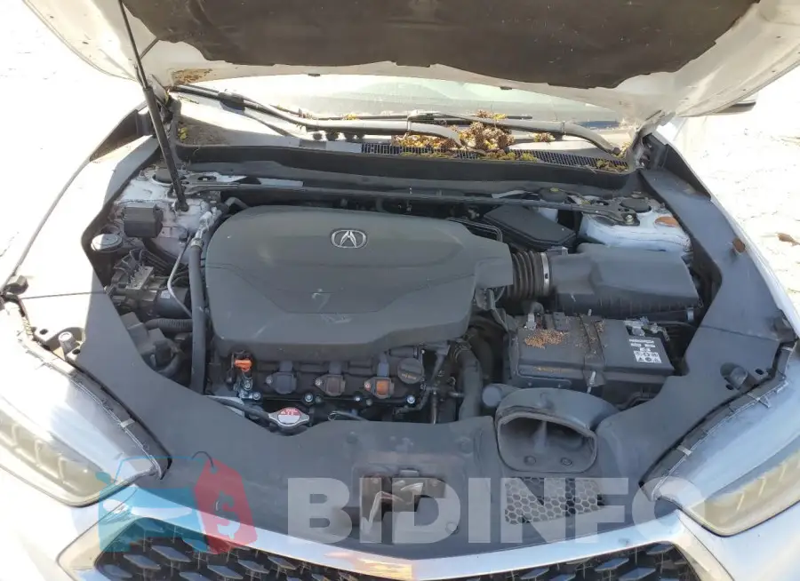 19UUB2F46KA008345 Photo# 11