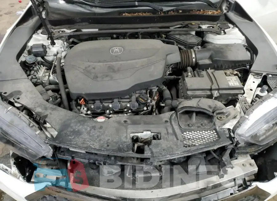 19UUB2F66JA013383 Photo# 11