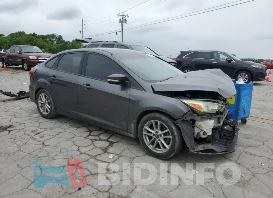 1FADP3F24GL241694 Photo# 4