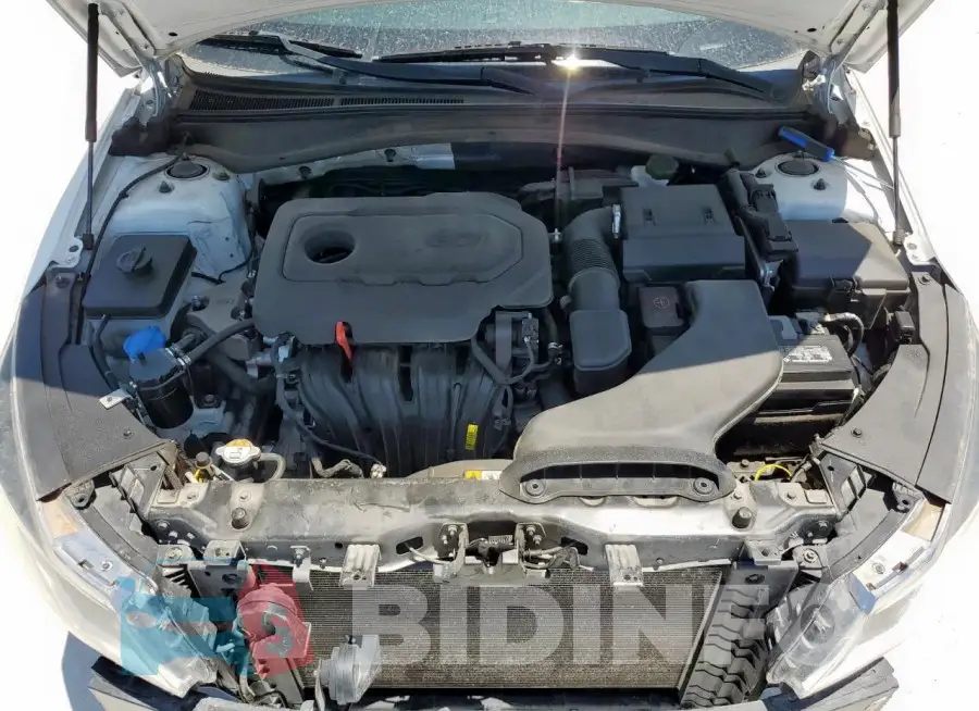 5XXGT4L31JG251418 Photo# 11