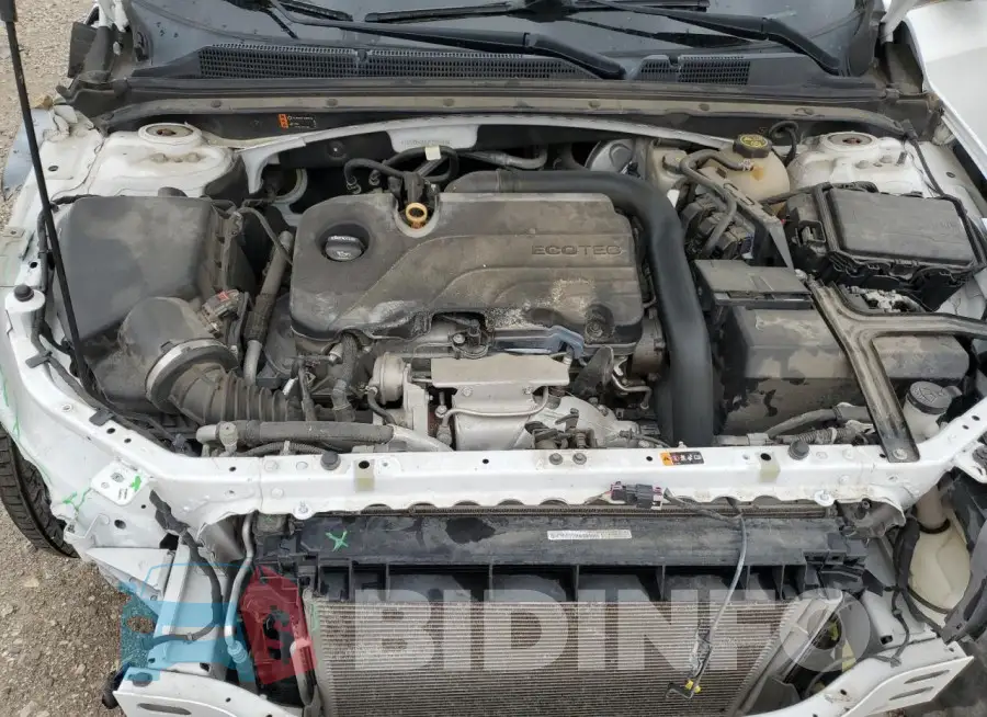 1G1ZD5ST5JF220449 Photo# 11