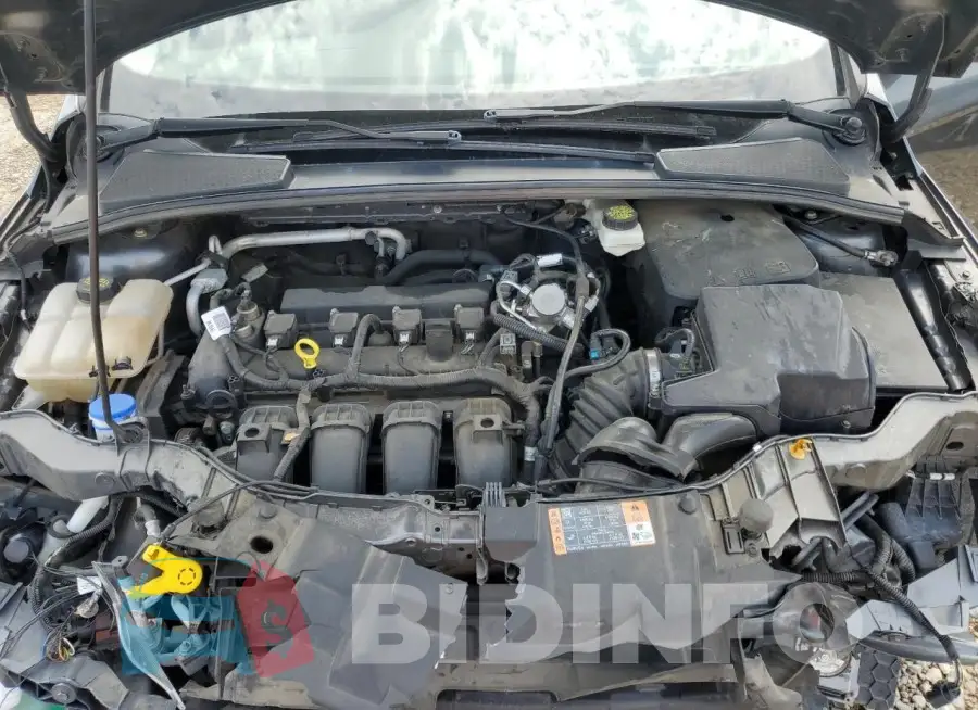 1FADP3E2XHL202014 Photo# 11