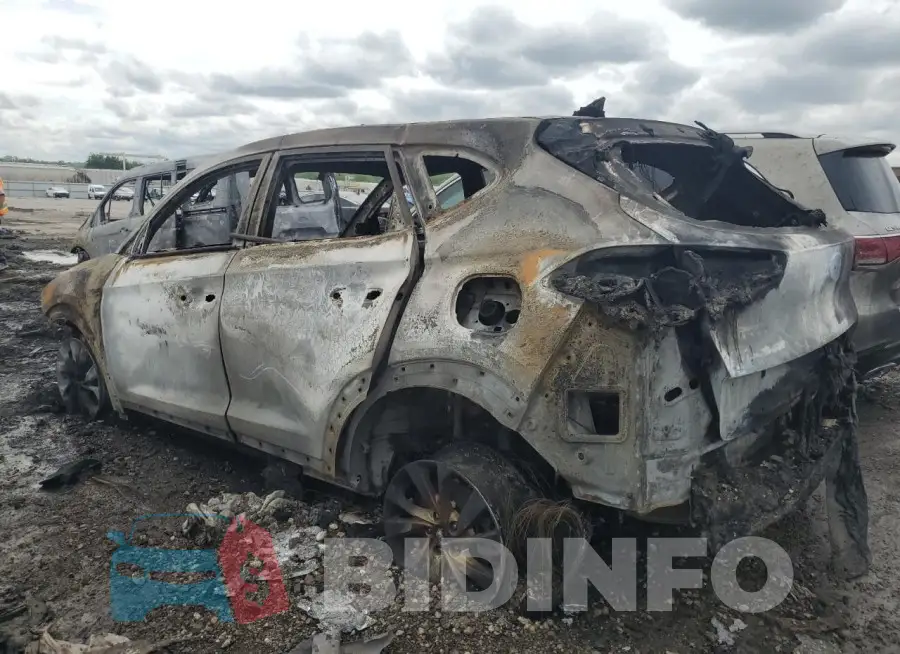 KM8J2CA42LU133613 Photo# 2
