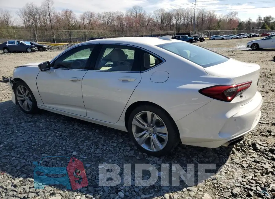 19UUB5F48MA006715 Photo# 2