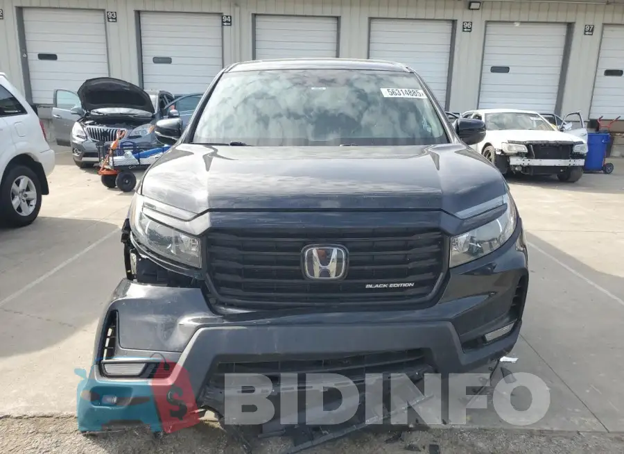 5FPYK3F81MB009705 Photo# 5