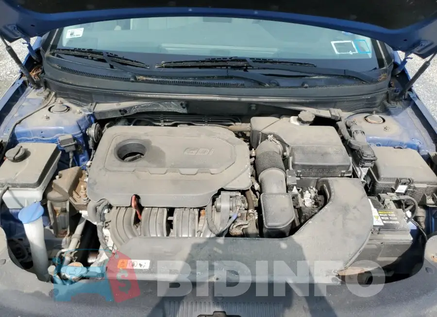 5NPE24AF6HH481087 Photo# 11
