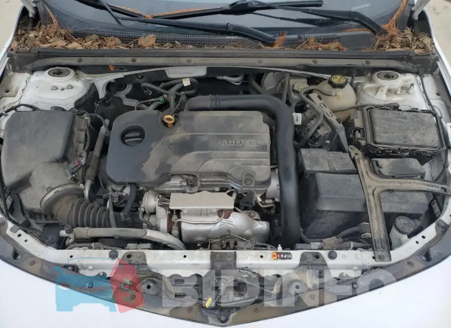 1G1ZD5ST5LF098162 Photo# 11