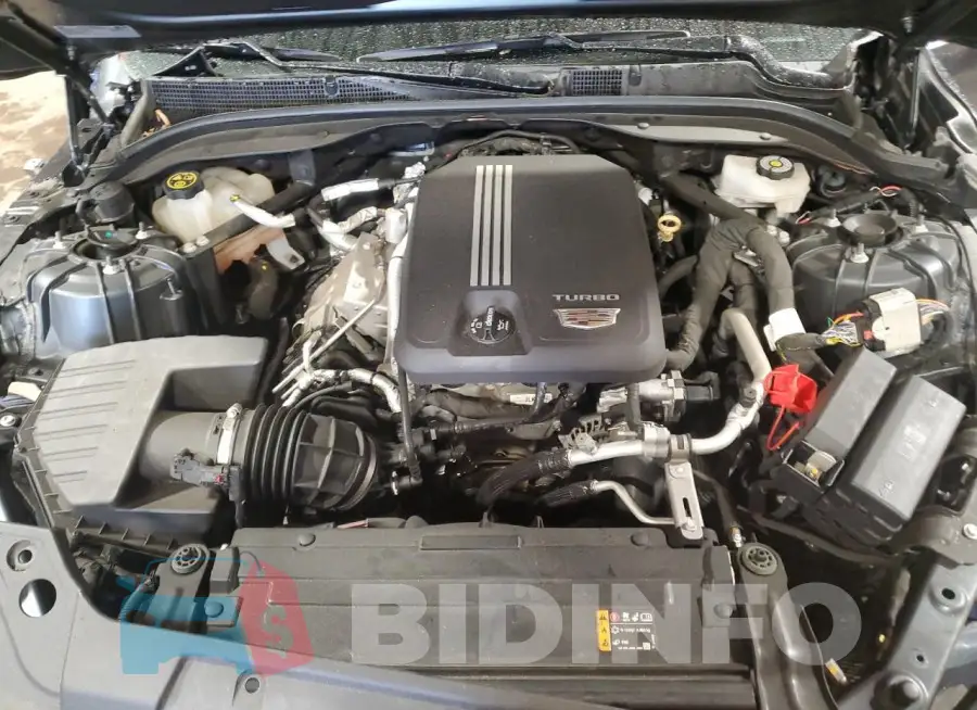1G6DT5RK8M0107543 Photo# 11