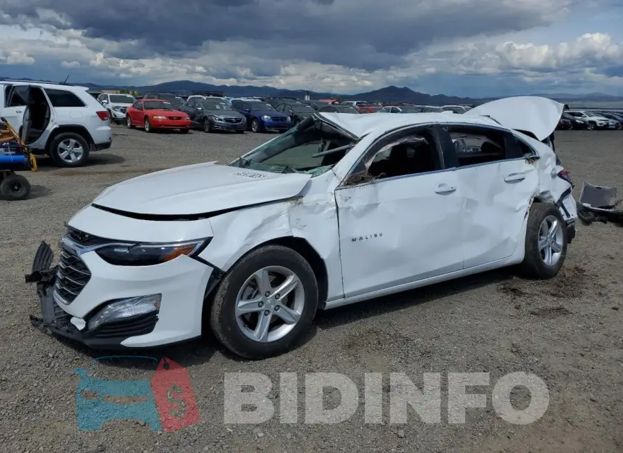1G1ZD5ST9RF179237 Photo# 1