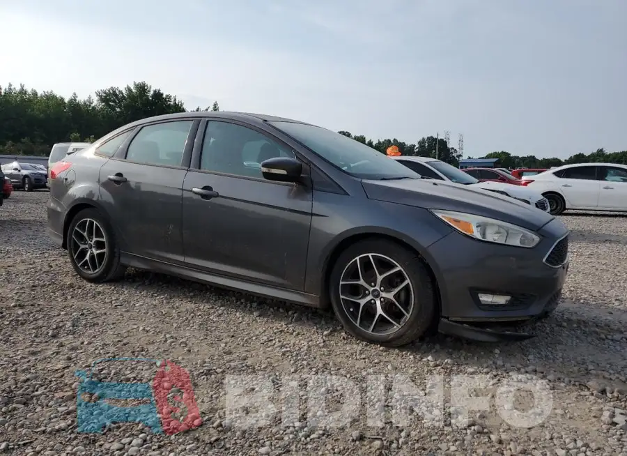 1FADP3F29GL376637 Photo# 4