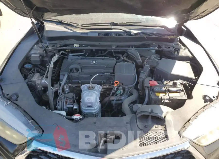 19UUB1F56JA003390 Photo# 11