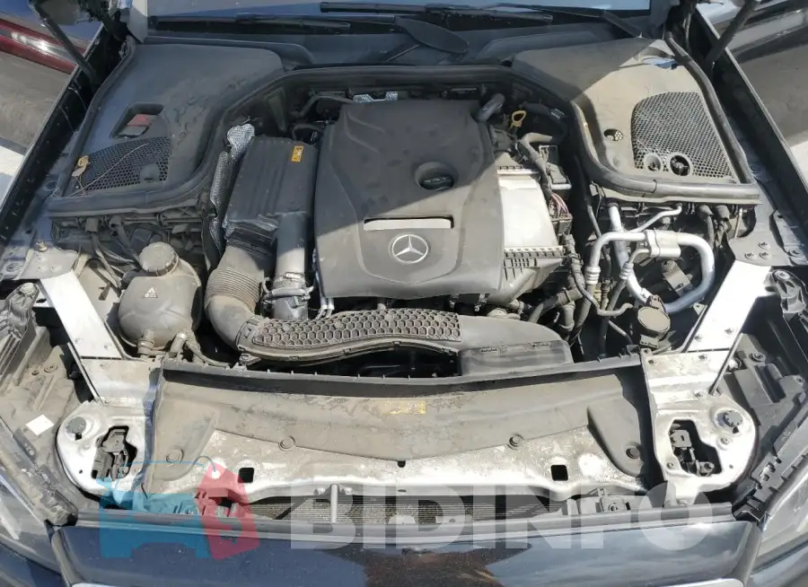 WDDZF4JB9KA517202 Photo# 11
