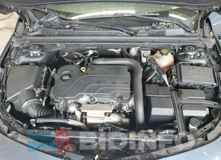 1G1ZD5ST4LF041466 Photo# 11