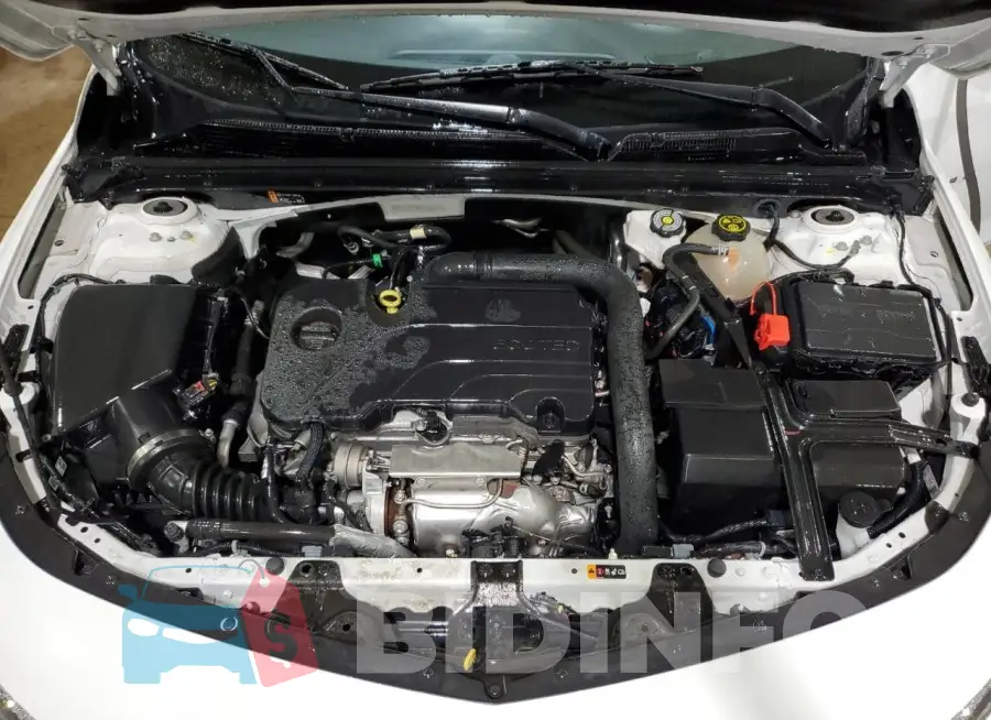 1G1ZD5ST9PF220771 Photo# 11
