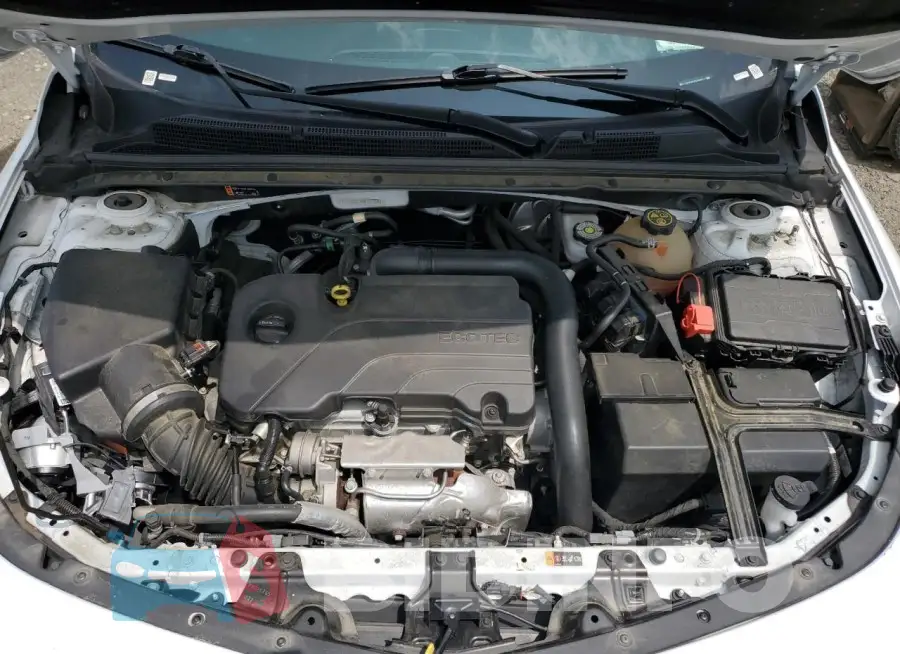 1G1ZD5ST8NF151584 Photo# 11