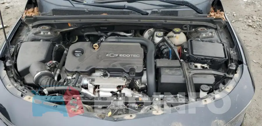 1G1ZE5ST1HF159186 Photo# 11